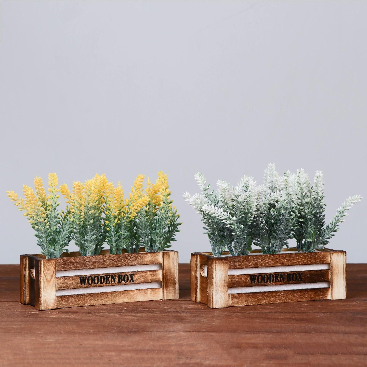 Бонсай "Лаванда в ящичке" 8х16,5х15 см микс  4736462