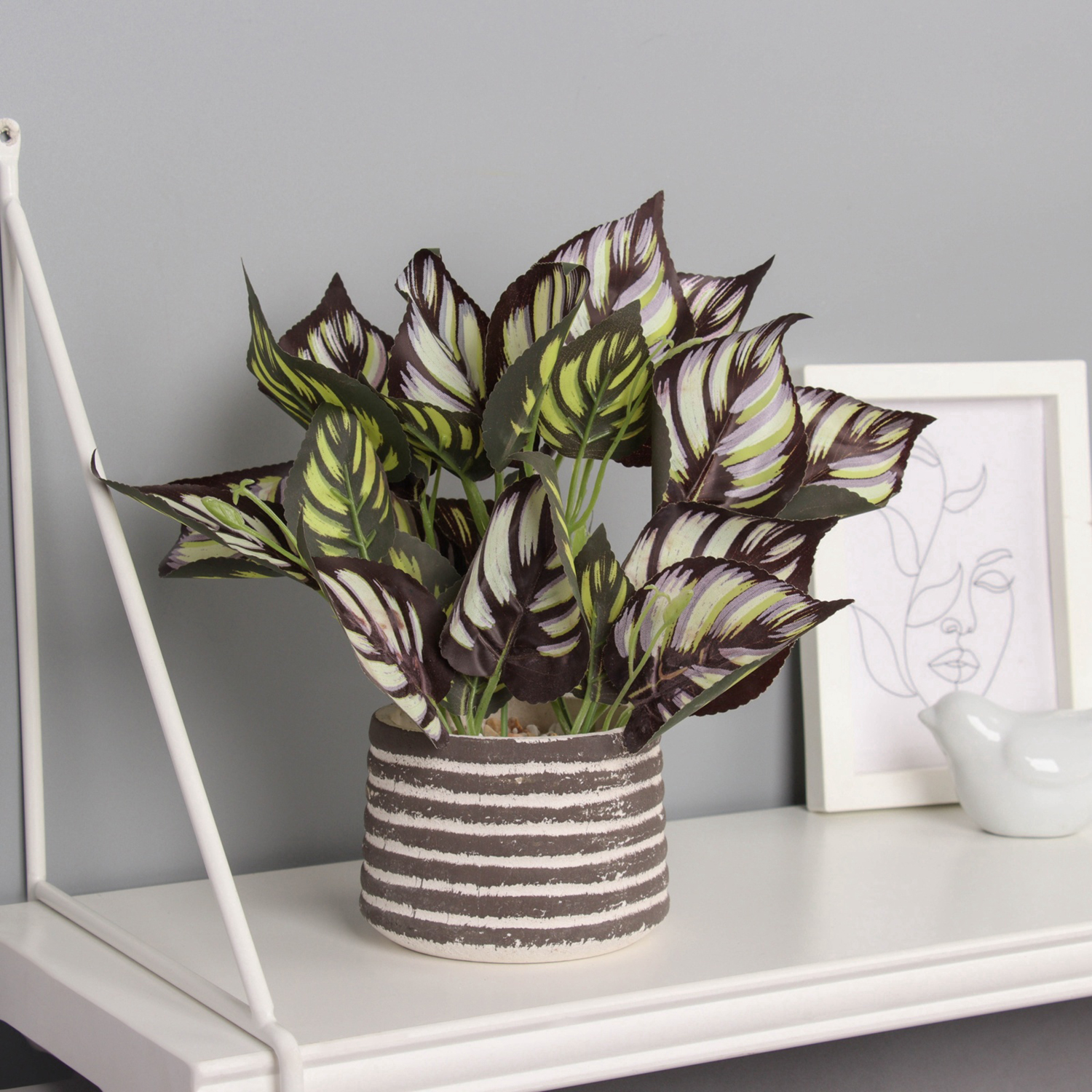 Бонсай в горшке "Калатея макоя" 20х10 см, микс   10697884