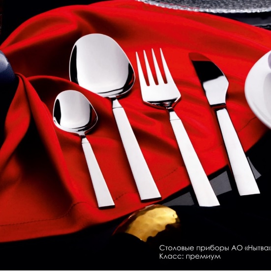 Вилка столовая нерж. "Астра" КОМПЛЕКТ 3ШТ на подвеске "garde" (Нытва)  *1/50 Вилка столовая нерж. "Астра" КОМПЛЕКТ 3ШТ на подвеске "garde" (Нытва)  *1/50