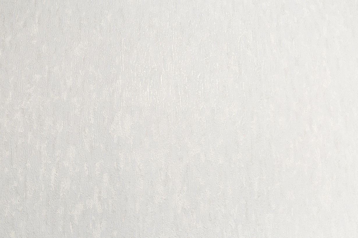 Обои флиз "Палитра" 10 ВВ ГТ PL72023-19 1,06*10м *1/6