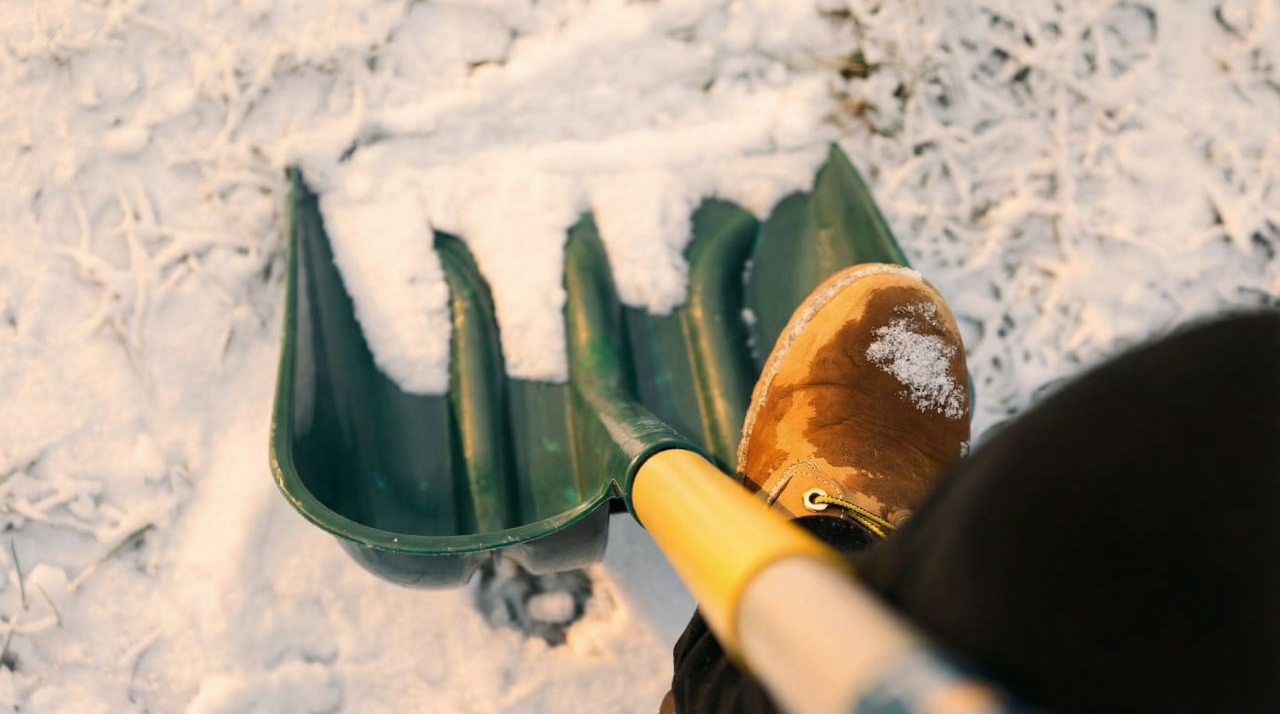 cfa46be7a7cf9a5e5a815f12b14dcd0c_b4bf25d4-5118-48c0-8a7c-d8539b404fe5.png cfa46be7a7cf9a5e5a815f12b14dcd0c_b4bf25d4-5118-48c0-8a7c-d8539b404fe5.png