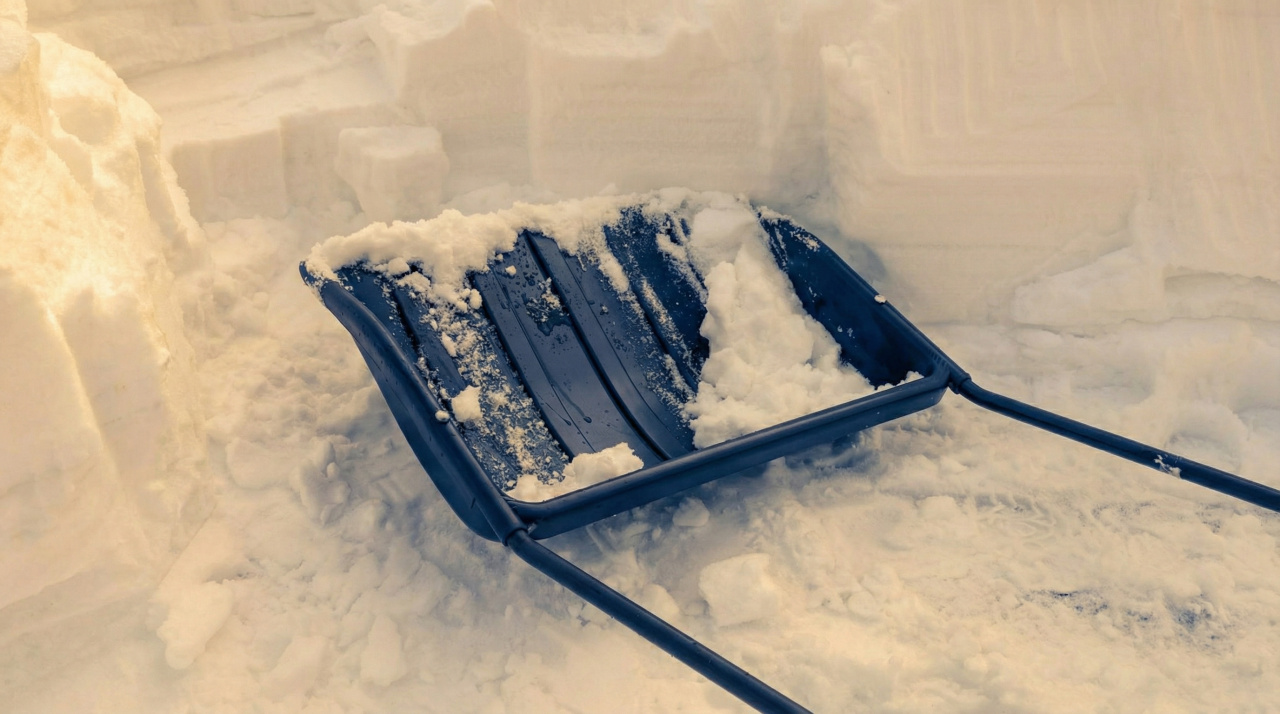 404cb721702fba75ab045bd76ed62d9c_978558f0-c9db-47d3-8357-d56cd6381342.png 404cb721702fba75ab045bd76ed62d9c_978558f0-c9db-47d3-8357-d56cd6381342.png