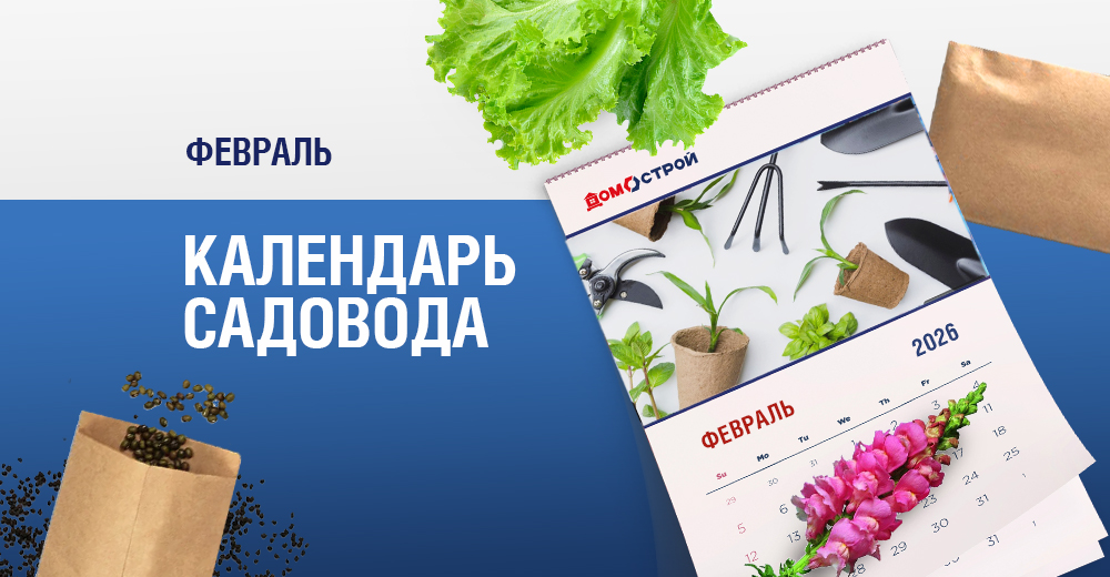 Без названия.png